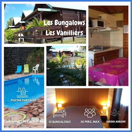 Les Bungalows Les Vanilliers, Sud Sauvage Avec Piscine سانت-جوزيف المظهر الخارجي الصورة