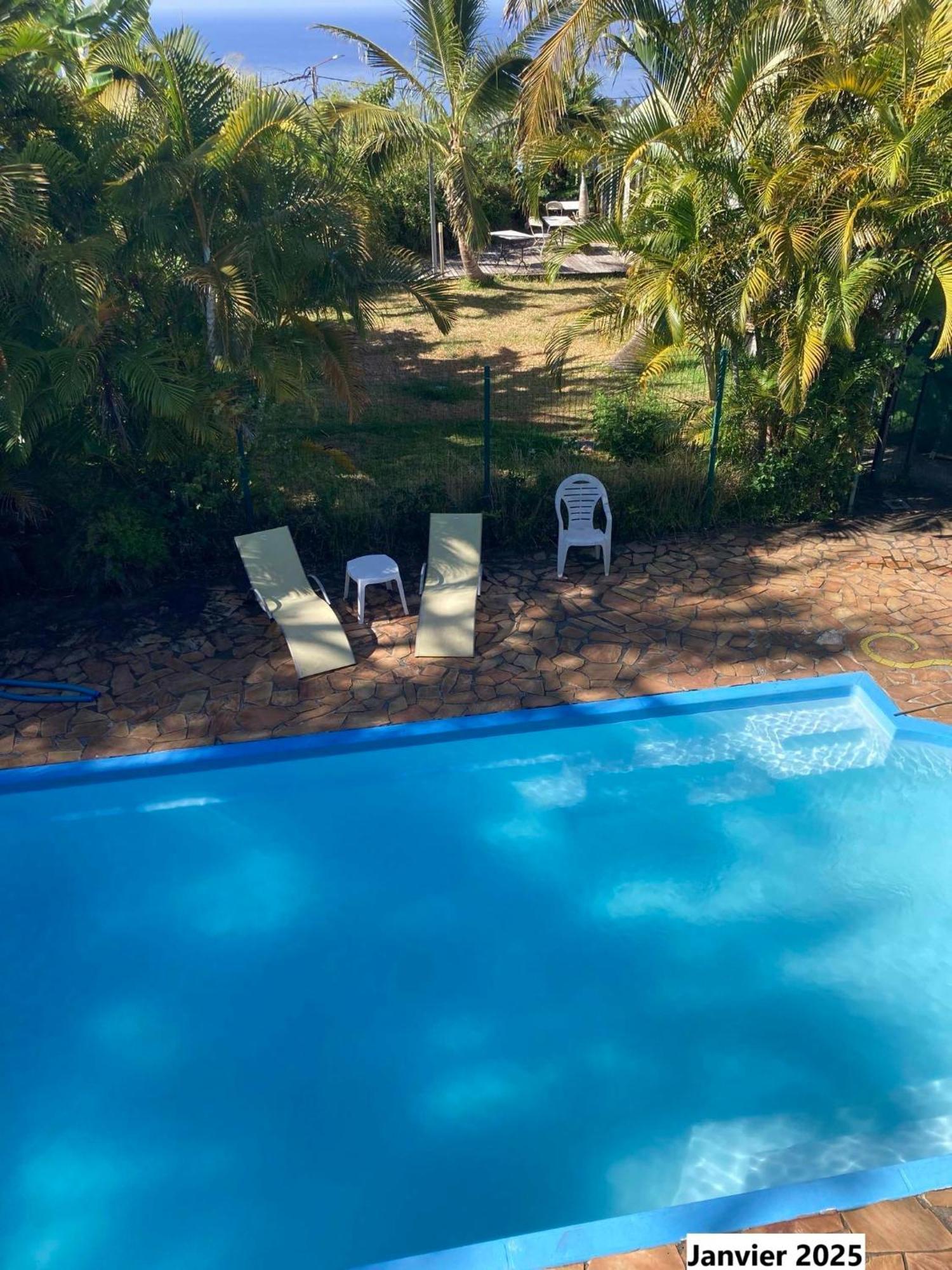 Les Bungalows Les Vanilliers, Sud Sauvage Avec Piscine سانت-جوزيف المظهر الخارجي الصورة