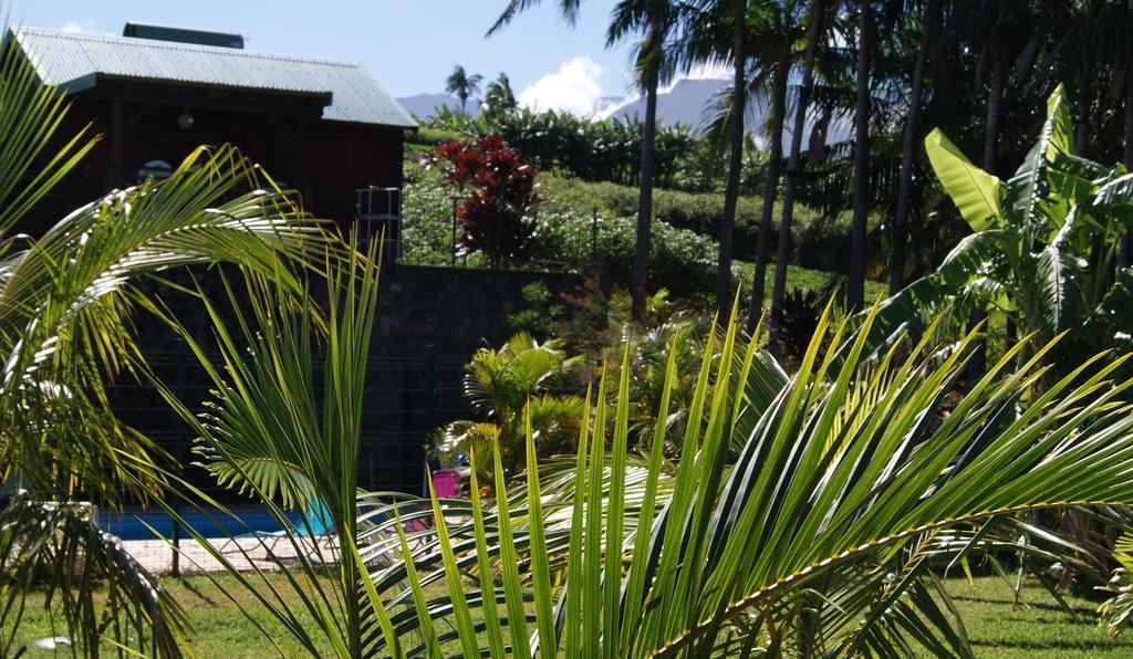 Les Bungalows Les Vanilliers, Sud Sauvage Avec Piscine سانت-جوزيف المظهر الخارجي الصورة